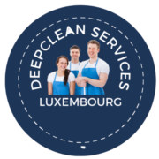 Deepclean Services logo